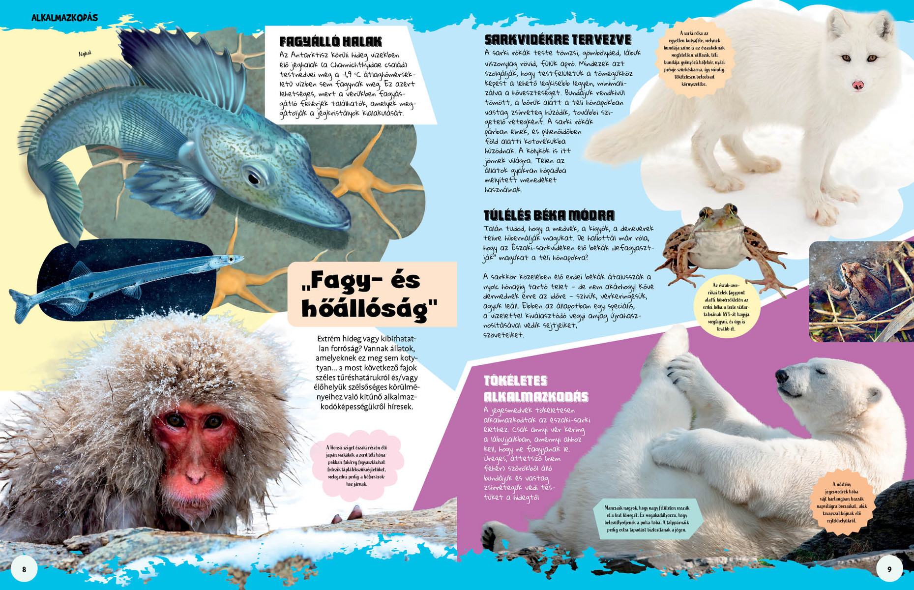 Ez állati! Trükkök és szuperképességek